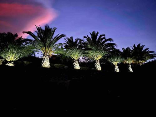 a row of palm trees at night with a rainbow at Villa panoramica sull'Etna con piscina vista mare in Montargano