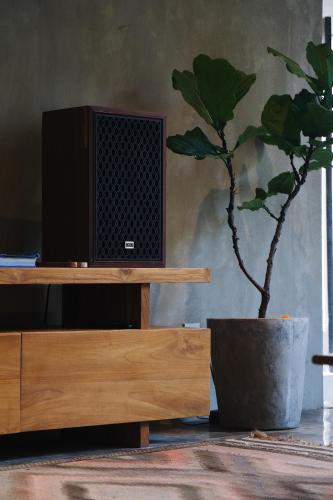 a tv sitting on a wooden stand next to a potted plant at Surf Motel in Canggu