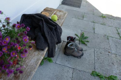 a pair of shoes sitting on a bench next to flowers at Frühweid in Unterwasser