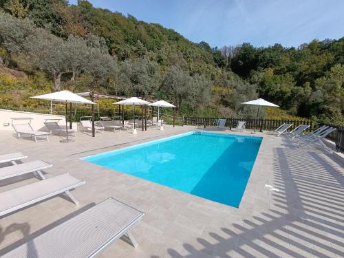 a swimming pool with chairs and umbrellas at Fattoria Cristina - Bilo Verde in Castelnuovo Magra