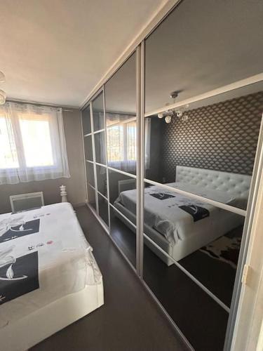 une chambre avec deux lits et un grand miroir dans l'établissement Bel appartement proche plages et hopital St Musse, à Toulon