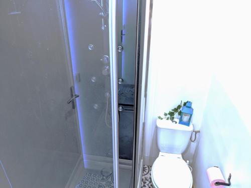 La salle de bains est pourvue d'une douche et de toilettes avec une plante. dans l'établissement Cosy Lys - 1CH - Centre Bosquet & Clémenceau, à Pau