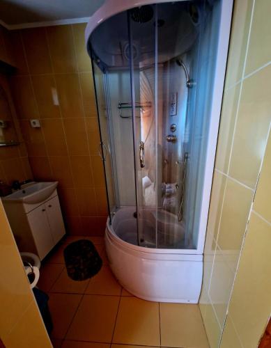 a person in a shower in a bathroom at Pensiunea Rossvillas!! in Lepşa