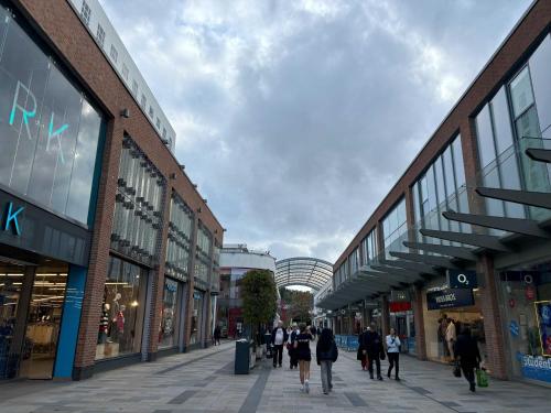 a group of people walking down a shopping street at Grand Exchange near Ascot 2 bed with Parking in Bracknell