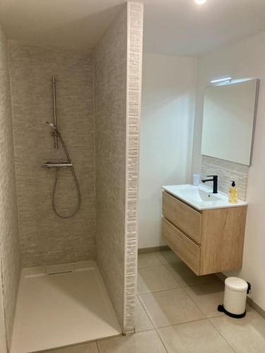 une salle de bain avec une douche et un lavabo et une douche dans l'établissement Villa Inès, à Langres
