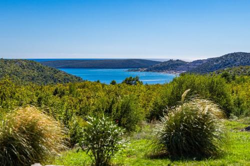 uitzicht op een meer vanaf een heuvel met planten bij Villa Vlacich for 8 people near Labin - Rabac with heated pool & sea view - only 2 km from beach in Trget