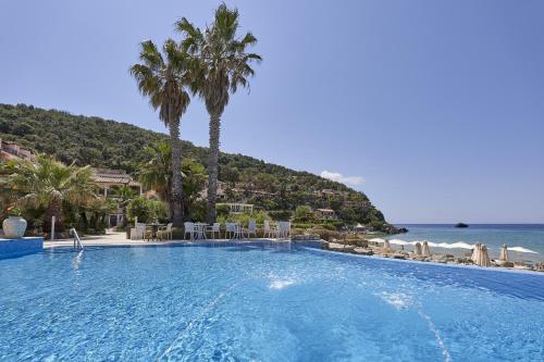 a large swimming pool with palm trees and the ocean at Hotel Hermitage in Portoferraio