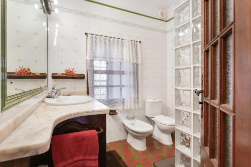 a bathroom with a sink and a toilet and a mirror at Casa rural suerteluna in La Matanza de Acentejo
