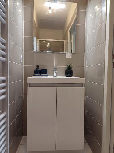 une salle de bain avec un lavabo blanc et un miroir dans l'établissement T3 du canal, 2chs, 2 sdb, 3 lits, à Agen