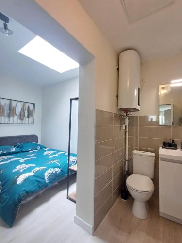 une salle de bain avec un lit, des toilettes et un lavabo dans l'établissement Le studio du canal, 2 pers, wifi, à Agen