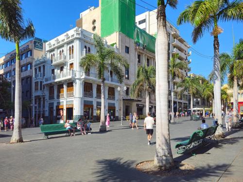 eine belebte Stadtstraße mit Palmen und Gebäuden in der Unterkunft 7 Luxury Suites By KARAT in Santa Cruz de Tenerife