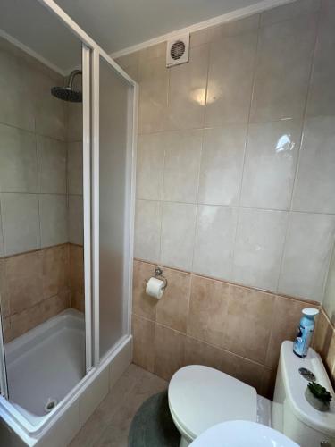 a bathroom with a toilet and a shower and a sink at Réka Apartmanház in Bük
