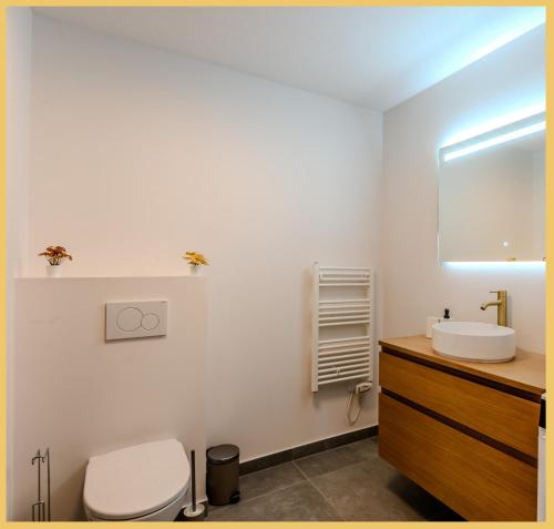 une salle de bain avec un lavabo, des toilettes et un miroir dans l'établissement Chez Matias I T3 I Ville-la-Grand, à Annemasse