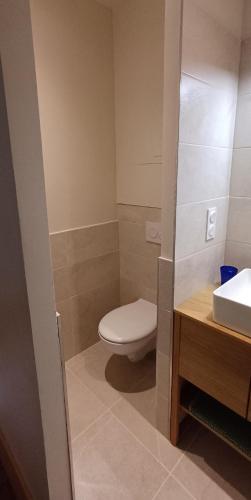 a bathroom with a toilet and a sink at Logis La Vachère in Avallon