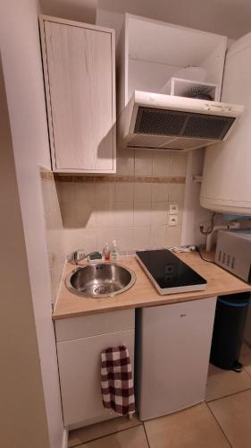 une petite cuisine avec un évier et un micro-ondes dans l'établissement Studio rénové proche cathédrale, à Chartres
