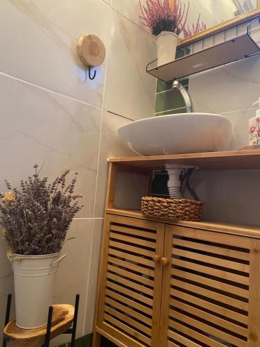 a bathroom with a sink and a shelf with plants at Jozin put -planinska kuća in Blidinje