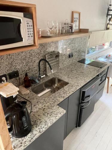 a kitchen with a sink and a microwave at Terral Suites in Mar de las Pampas