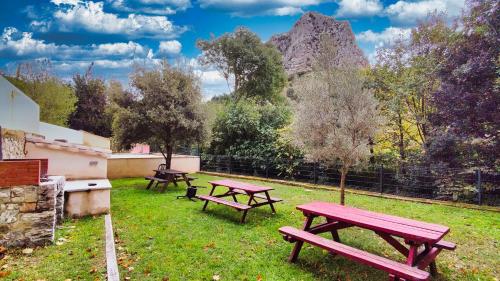 Κήπος έξω από το Gîte Hérault