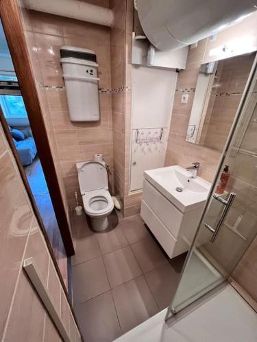 une petite salle de bain avec toilettes et lavabo dans l'établissement Studio au pied des pistes, à Montferrier
