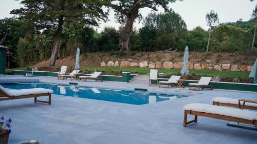 a swimming pool with lounge chairs and umbrellas at Podere Scoldasu - Apollo in Massa Marittima