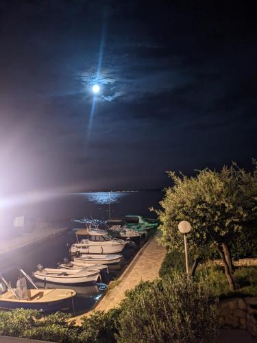 Příroda nedaleko apartmánu