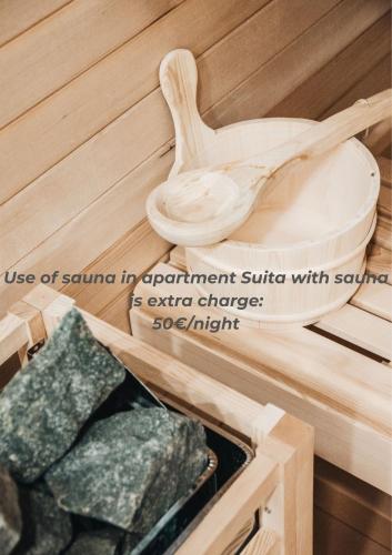 a sauna with a wooden toilet and some rocks at NA Apartments in Maribor