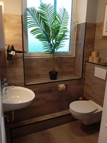 a bathroom with a toilet and a plant in a window at Stadtnah an der Förde 75 01 R in Flensburg
