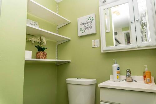 a bathroom with a toilet and a sink and a mirror at Exquisite Rogers Park 1 bedroom, 1 bath Apartment Near Evanston in Chicago