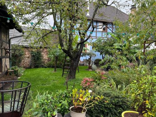 a garden with plants and a tree and a building at Le Refuge du 55 in Epfig