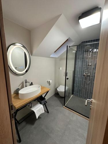 a bathroom with a sink and a shower with a mirror at Casa David Valea Avrigului in Avrig