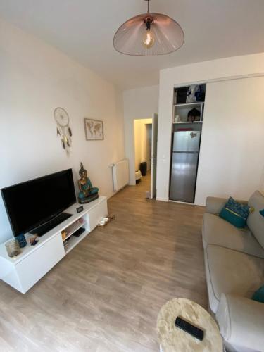 un salon avec un canapé et une télévision à écran plat dans l'établissement Appartement 2 pièces proche Paris et Orly, à Choisy-le-Roi