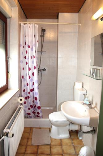a bathroom with a toilet and a sink and a shower at Hotel Alte Münze in Gifhorn