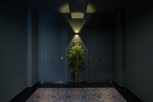 a plant in the middle of a hallway with two doors at Ridge Apartments in Chernivtsi