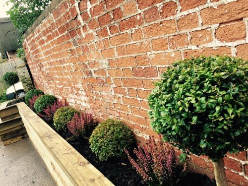 a brick wall with a bunch of plants in a garden at Three Crowns Guest House in Salisbury