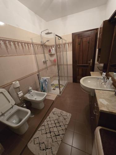 a bathroom with a toilet and a sink and a shower at Fiorucci Camere in Mocaiana