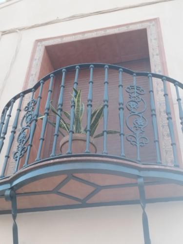 a balcony with a plant on top of it at Alojamiento el camarín in Baños de la Encina