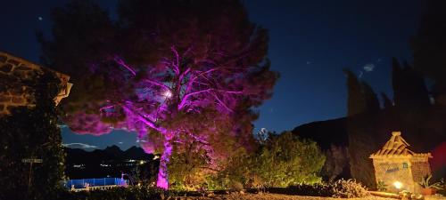 Casa Pura Vida في Relleu: شجرة أرجوانية أمام مبنى في الليل