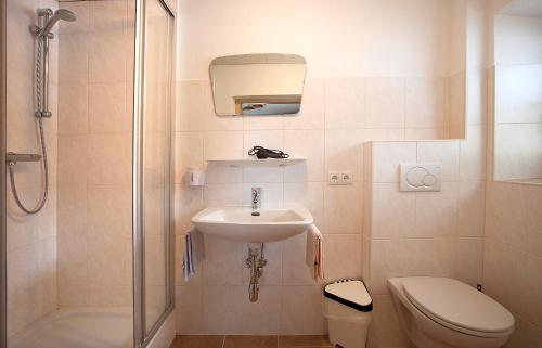 uma casa de banho com um lavatório, um WC e um chuveiro em Apart Luca em Längenfeld