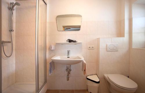 a bathroom with a sink and a toilet and a shower at Apart Luca in Längenfeld