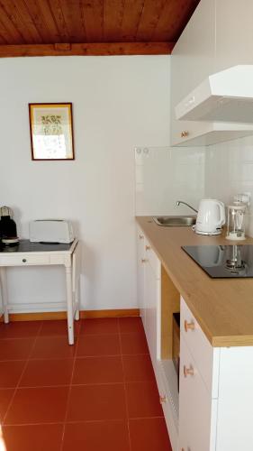 a kitchen with white cabinets and a red tile floor at Casa da Tília in Caxarias