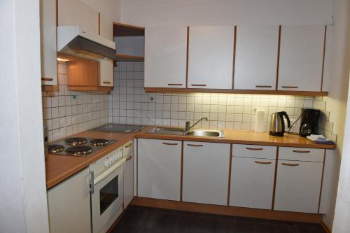 eine kleine Küche mit weißen Schränken und einem Waschbecken in der Unterkunft Haus Carnot in Samnaun