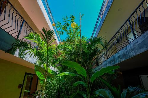 a bunch of plants are growing in a building at Calea Tulum Boutique Hotel in Tulum