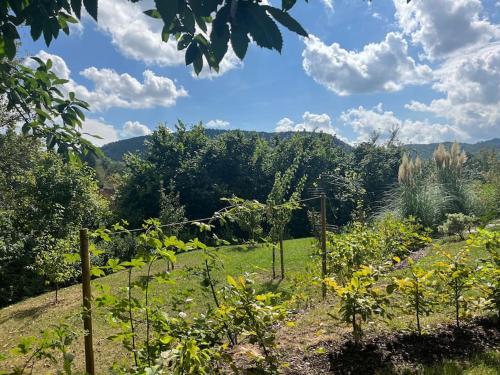 a view of a garden with trees and mountains in the background at Haus Sonnenhang in Hauenstein
