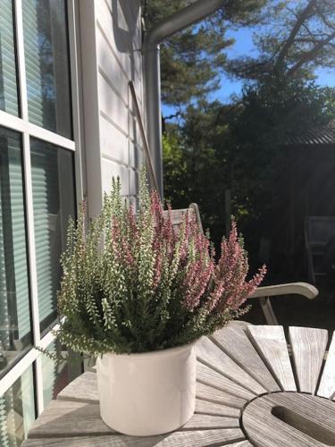a potted plant sitting on a table next to a window at Enjoy nature in silence in Ljungen