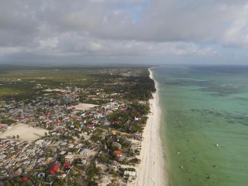 Gambar di galeri bagi Blooming Zanzibar di Jambiani