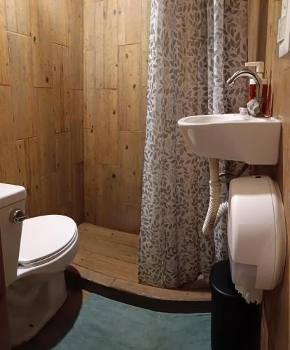 a bathroom with a toilet and a sink at Oasis Airport in Mexico City