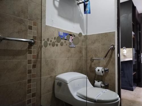 a bathroom with a toilet and a shower at Santa Maria de Leyva hotel boutique in Villa de Leyva