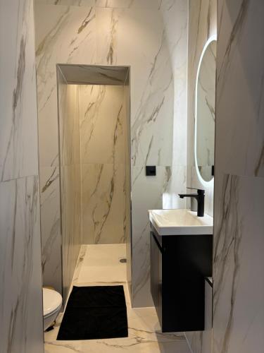 a bathroom with a shower and a toilet and a sink at Schwentine Suite in Kiel