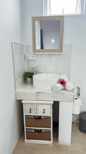 a bathroom with a white sink and a mirror at Appartement T2 La Colombe vue mer et montagne in Albion