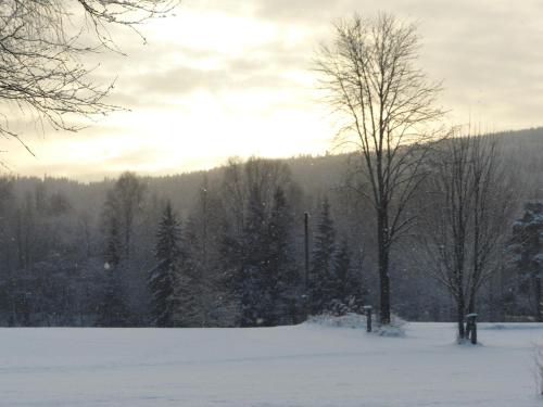 a snow covered field with trees in the distance at Björkebo Camping in Stöllet